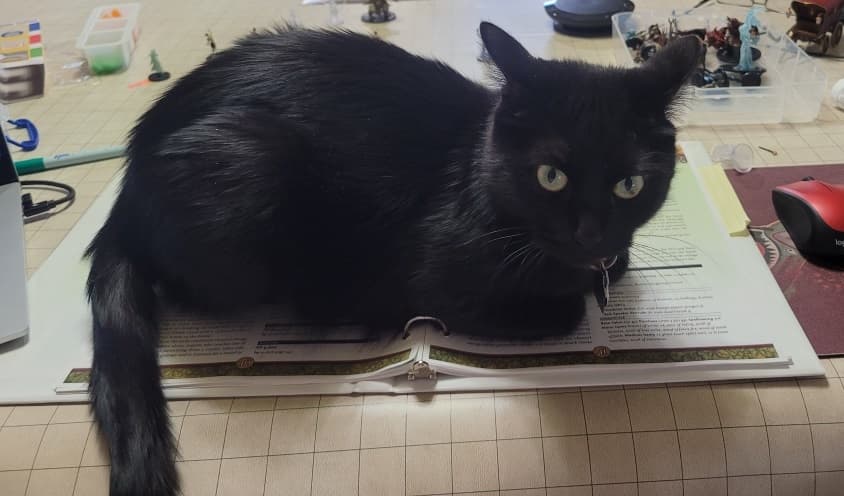 Shadow, our beloved companion